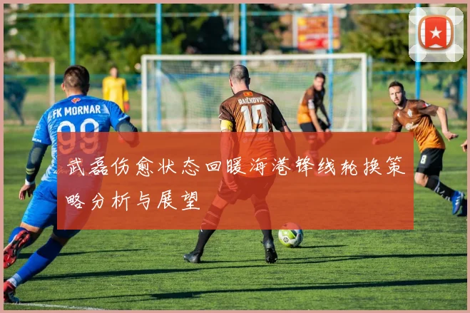 武磊伤愈状态回暖海港锋线轮换策略分析与展望
